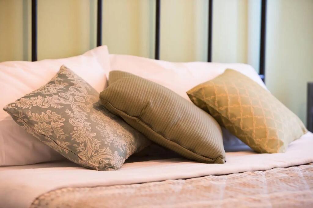 Apartament Alice'S Guest Parking & Wi-Fi Piza Zewnętrze zdjęcie
