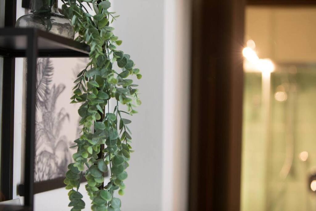 Apartament Alice'S Guest Parking & Wi-Fi Piza Zewnętrze zdjęcie